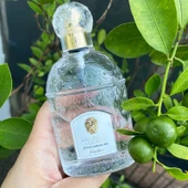 Guerlain Eau De Fleurs De Cedrat EDT 100ml unisex erkek parfüm - 5