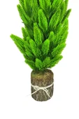 Nettenevime Yapay Çiçek Kütük Saksıda Çam Ağacı 50cm - 7