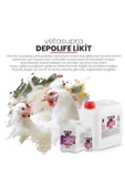 Hs Tarım Vetasupra Depolife Likit Comfort Verim Artırıcı Hayvan Yem Katkı Maddesi - 5 kg thumbnail 5