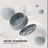 Omnipazar SO-EAS1 Dekoratif Elvan Arajman Sukulent Kaktüs Saksı 0.86 Litre No 1 thumbnail 10