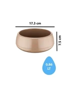 Omnipazar SO-EAS1 Dekoratif Elvan Arajman Sukulent Kaktüs Saksı 0.86 Litre No 1 thumbnail 12