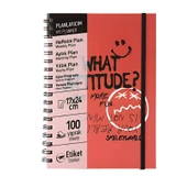 Mynote Smiley Spiralli Defter A5 (17x25) Kraft Kapak, Çizgili, 100 Yaprak - 2