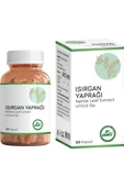 Anti Isırgan Yaprağı 60 Kapsül - 1