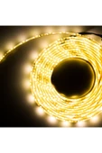 CSled  40 x 40  Dış Mekan Silikonlu Şerit Led - 1