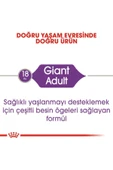 Dog Shn Giant Adult Köpek Maması 15 Kg - 3