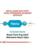Pug Puppy Yavru Köpek Maması 1,5 Kg - 6