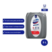 DOMESTOS PROFESSİONAL ÇAMAŞIR SUYU 5  LT - 2