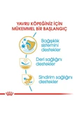 Pug Puppy Yavru Köpek Maması 1,5 Kg - 5