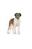 Dog Shn Giant Adult Köpek Maması 15 Kg - 7
