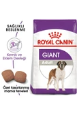 Dog Shn Giant Adult Köpek Maması 15 Kg - 2