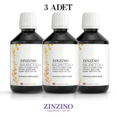 Zinzino Omega 3 - BalanceOil+ 300 ml - 3 ADET - 1
