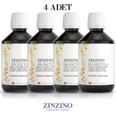 Zinzino Omega 3 - BalanceOil+ 300 ml - 4 ADET - 1