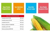 Hs Tarım Rebiotic Tam Silaj İnokulanti 20 KG Silaj Koruyucusu - 5