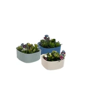 Omnipazar KRS-247 Pera Aranjman Kaktus Sukulent Saksı 1 Litre 3'lü Set thumbnail 1
