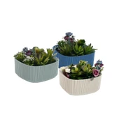 Omnipazar KRS-248 Pera Aranjman Kaktus Sukulent Saksı 1.8 Litre 3'lü Set - 1