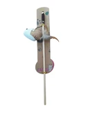 Kedi Oltası - 1