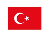 Türk Bayrağı Bayrak Yapışkanlı Çıkartma 12X17cm - 10 adet - 1