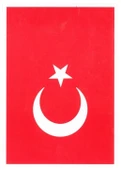 Atatürk Bayrak Çıkartma 13X18 10Lu - 2 paket - 1