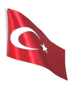 Bayrak Masa Bayrağı Raşel 15X22,5Cm - 2 adet - 1