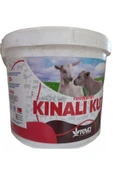 Hs Tarım Revitamin Kınalı Kuzu Koyun Keçi Kuzu ve Buzağı Hayvan Yem Katkı 20 KG Kova - 2