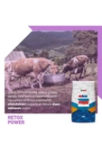 Hs Tarım Retox Power Verim Düşüklüğü için Hayvan Yem Katkı 25 kg Kraft - 7