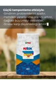 Hs Tarım Retox Buffer 4x4 Toz Premiks 25kg Torba - 4