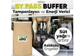 Hs Tarım Retox By-Pass Buffer Toz Premiks 25 Kg - 5
