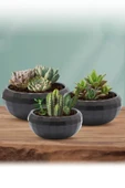 Omnipazar KRS-611 Dekoratif Orta Aranjman Kaktus Sukulent Saksı 2 Litre thumbnail 7