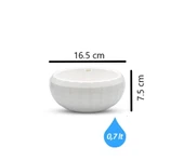 Omnipazar Dekoratif Aranjman Kaktus Sukulent Saksı 3'lü Set Beyaz thumbnail 2