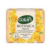 Dalan Botanıca Frezya Banyo Ve Duş Sabunu 150x4=600 Gr - 1