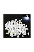 WALZEN T10 Dipsiz W5w 8 Ledli Beyaz Park Tavan Plaka Ampülü(2 ADET) - 4