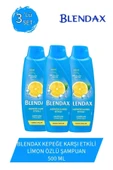 Kepeğe Karşı Etkili Şampuan 500 ml X 3 Adet - 1