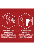 Deo Stick 50 ml Wolfthorn x 6 Adet - 5