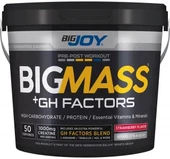 Bigjoy Sports BIGMASS Gainer GH FACTORS Çilek 5000g - 1
