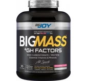 Bigjoy Sports BIGMASS Gainer GH FACTORS Çilek 3000g - 1