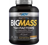 Bigjoy Sports BIGMASS Gainer GH FACTORS Çikolata 3000g - 1