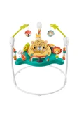 FISHER PRICE Fisher-Price Sevimli Leopar Jumperoo™ - 1