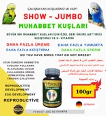 Show-Jumbo-Kızıştırıcı -E vitamini-Üreme Arttırıcı Muhabbet Kuşlarına Özel Seri 100 Gr - 1