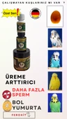 Show-Jumbo-Kızıştırıcı -E vitamini-Üreme Arttırıcı Muhabbet Kuşlarına Özel Seri 300 Gr - 6