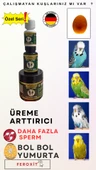 Show-Jumbo-Kızıştırıcı -E vitamini-Üreme Arttırıcı Muhabbet Kuşlarına Özel Seri 300 Gr - 5