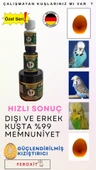 Show-Jumbo-Kızıştırıcı -E vitamini-Üreme Arttırıcı Muhabbet Kuşlarına Özel Seri 20 Gr - 4