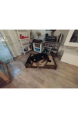 Köpek Yatağı 70*100 Cm Bilboa Rahat Ve Yıkanabilir Minder Yatak Dahil - 1