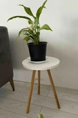 Tekli Yan Sehpa  Çiçeklik Saksılık Standı Dekoratif Yan Sehpa Seti Ahşap Ayaklı (33 cm Çap) Beyaz - 3