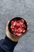 Çilek Kurusu 15gr. Sağlıklı Atıştırmalık Meyve Cipsi Dondurularak Kurutulmuş Freeze Dried Strawberry - 2