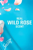 Secret Wild Rose Antiperspirant Kuru Sprey Deodorant 116GR - 3