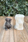 Kedi Lokum Tekli Silikon Mum Kalıbı - 5
