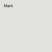 Marshall Maximum Mat Silikonlu Martı 15 Lt. (20 Kg) - 2