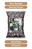 ByKurt 5 Litre Kaktüs Toprağı Böcek Sinek Yapmayan Premium Karışım TS1 Torf, Perlit, Pomza - 3