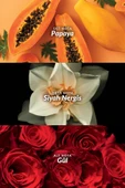 AVON Passion Dance Kadın Parfüm Edt 50 Ml. - 3
