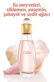 AVON Celebre ve Pur Blanca Kadın Parfüm Seti - 4